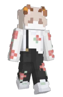 BinggMC's Minecraft skin