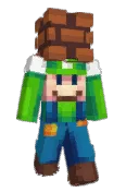 Blanka_Lisek