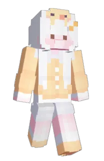 Front of XD333's skin
