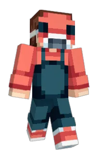 Front of MXDMC's skin