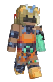 Skin preview