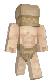 Front of SnailLD14's skin
