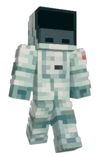 Front of Namize's skin
