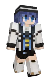 Skin preview