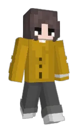 Minecraft skin — Slim model