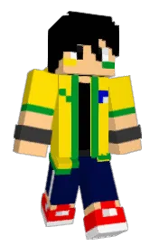 Skin preview