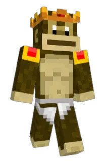15788 Minecraft avatar full body