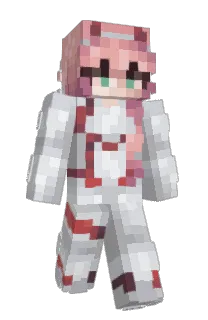 Front of Tracingg's skin