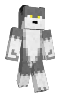 Front of asthma700's skin
