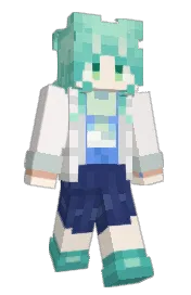 Skin preview