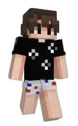 Slim Minecraft skin