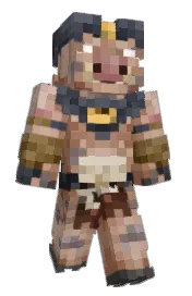 Skin preview
