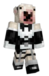 Einam's Minecraft skin