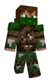 Skin preview