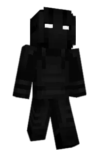 Front of irlv's skin
