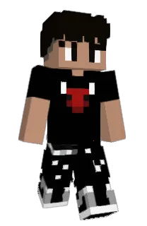 Front of npc_001's skin