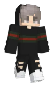 Skin preview