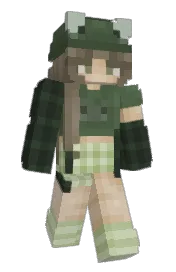 Skin preview