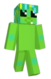 Skin preview