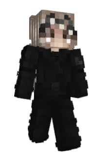 15h22 Minecraft avatar full body