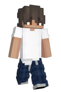 15xego Minecraft avatar full body