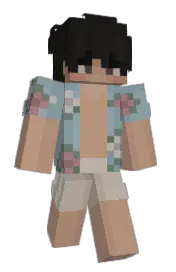 Skin preview