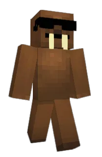 Front of DiWalrus's skin