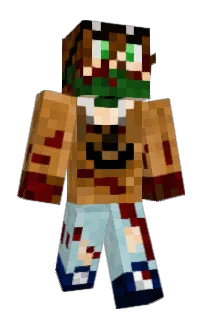 erar's Minecraft skin