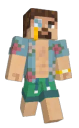 Classic Minecraft skin
