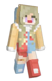 Skin preview