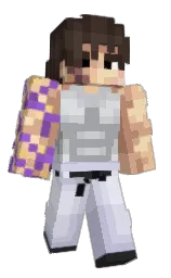 Classic Minecraft skin