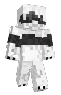 Front of Minecraft skin