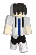 NieelMC