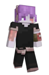 Front of Barrierreally's skin