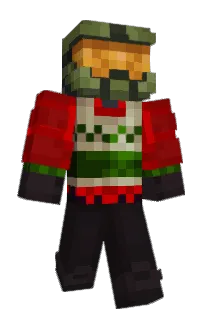 Front of Aarods's skin
