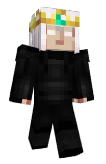 Front of H4SSANN's skin