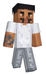 Minecraft skin — Classic model