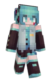 Skin preview