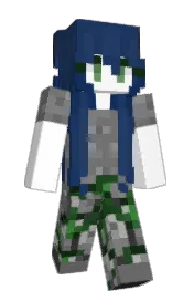 Skin preview