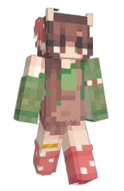 Skin preview