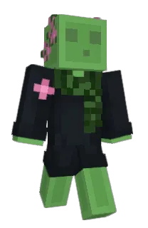 Front of Virion__'s skin