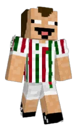 harvest gold and gold sand Minecraft skin — Classic model
