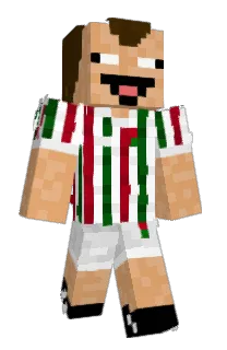 Front of Minecraft skin