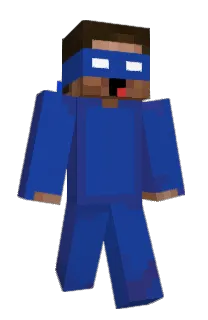 Front of poniks's skin