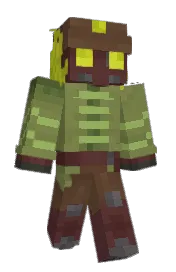 Skin preview