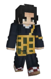 Skin preview