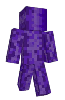 Front of D50M's skin