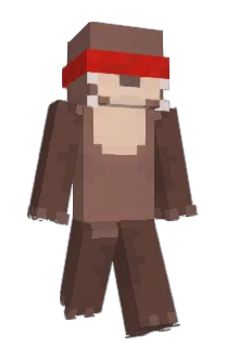 Front of Minecraft skin