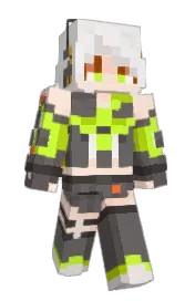 Skin preview