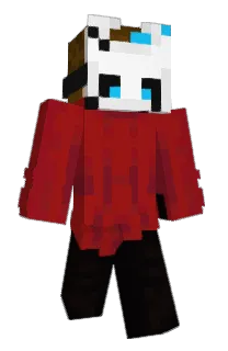 Front of ccquien's skin